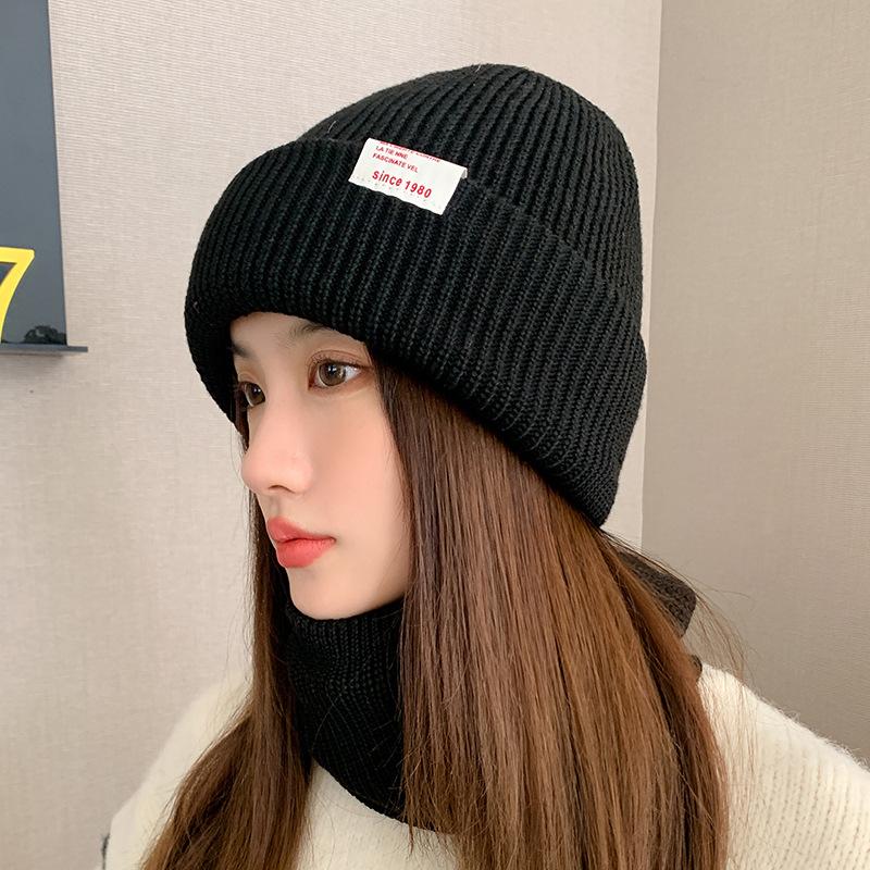 New Women's Pile Hat Letter Mark Autumn and Winter Warm Ear Protection High-end Knitted Wool Hat