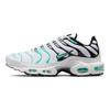 Nike X Atmos Air Max Plus 'White Hyper Jade' 604133-148