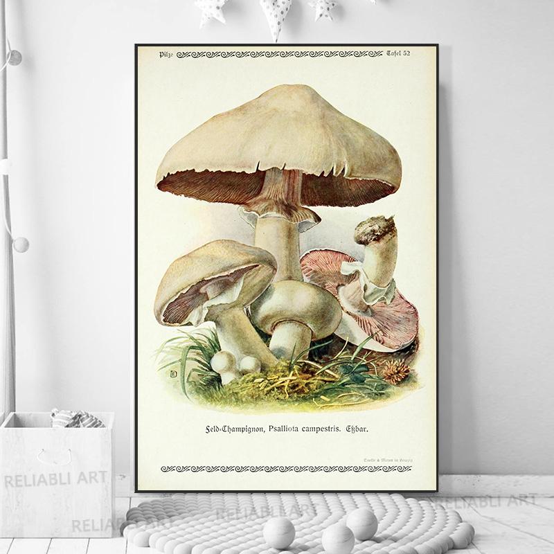 Vintage Mushroom Exemen Malba na plátně Starožitné umění na zeď Bylinné obrazy Vědecké plakáty a grafiky Dekor domácí kanceláře Cuadros