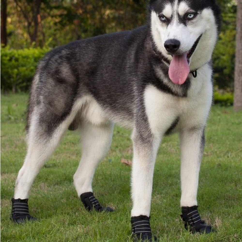Comfortable Anti-Slip Dog Shoes Adjustable Dog Paw Protector Soft Sole Dog Socks Boots  Outdoor