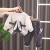 Autumn Winter Boys Clothing Children's Korean Hooded Sweater Pants Two Piece Set Girl Baby Velvet