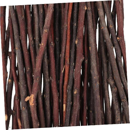 COHEALI 50pcs Natural Wooden Log Branches & Sticks for Decoration