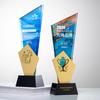Customized High-end Metal Crystal Trophy, Excellent Staff Company Annual Meeting Awards, Home Decorations Outstanding Medal, 1Pc