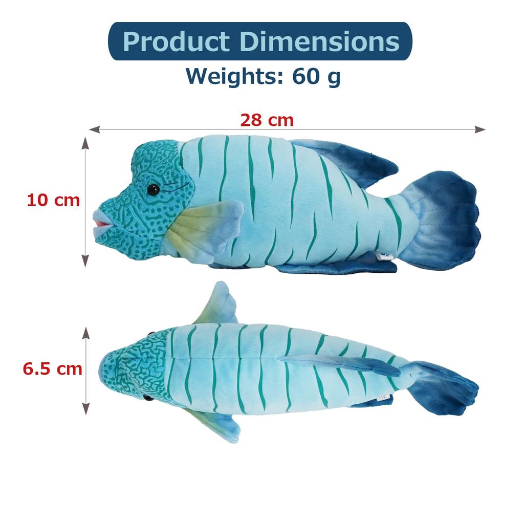 TST Advanced Exciting Illustrated Guide Napoleon Fish 10170 Total Length Approximately 30cm