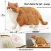 Solid Orange Persian, Ragdoll, Somali, and Blue Short-haired Cat Simulation Models