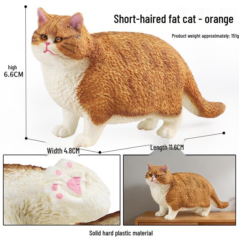Solid Orange Persian, Ragdoll, Somali, and Blue Short-haired Cat Simulation Models