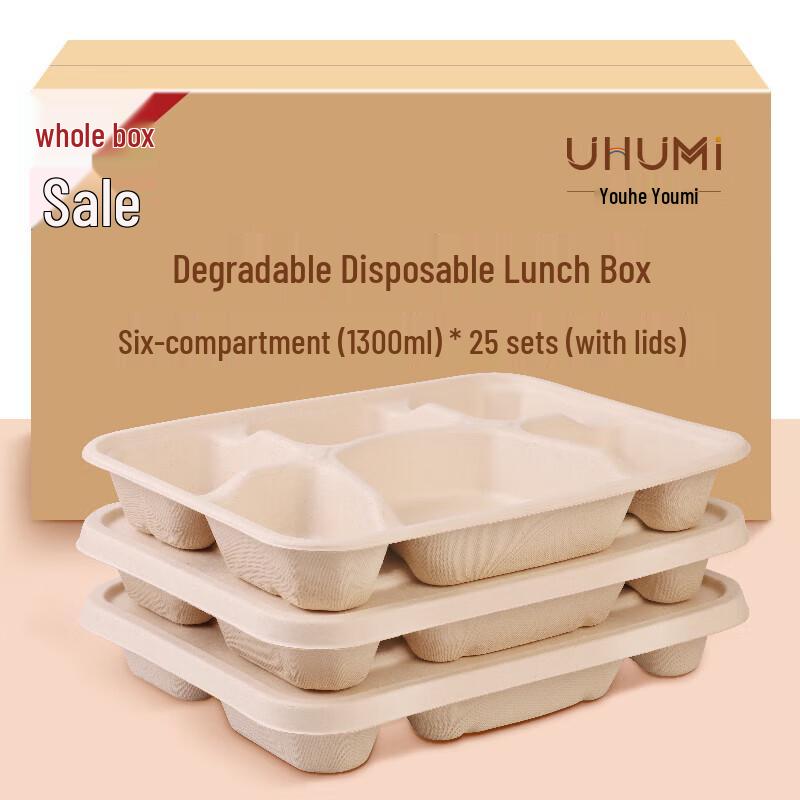 Degradable 6-Compartment Sugarcane Meal Prep Container