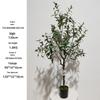 Olive Tree Potted Plant - Indoor Decor Simulation for Living Room