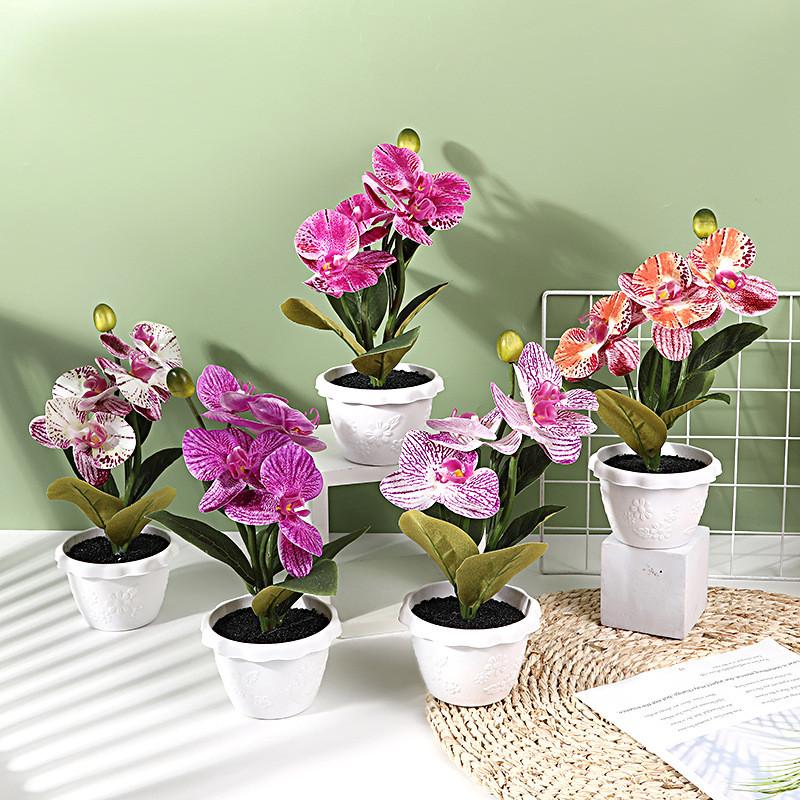Artificial Phalaenopsis Flower Decor With Plastic And Silk Materials For Indoor Garden And Photography Props