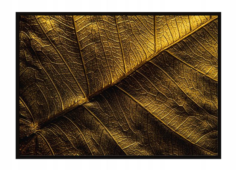 Obraz plakat w ramie 53x73 cm złoty liść p1761