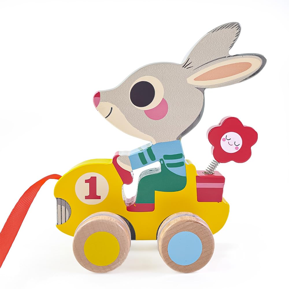 DJECO Pull Along Toy a Raccoon Rabbit Toy for Walking Suitable for Ages 1 18 2 and A Great Gift for Sports or Any Autumn - Roulapic, Practice, Year,