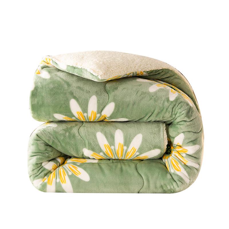 Winter Lambswool Flannel Quilt: Thick, Warm Cotton for Single Dormitory Bed