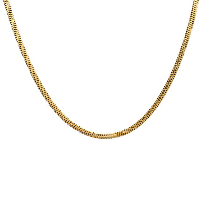 Minimalist Korean Style Gold-Plated Snake Chain Clavicle Necklace In Stainless Steel