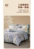 Pure Cotton Matte Printed Four-piece Bed Sheet and Duvet Cover Home Bed Set