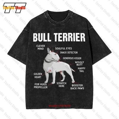 Bull Terrier Breed Dog Vector Art Anatomy Tattoo Funny Pet Lovers Vintage Oversized TShirt UYDU