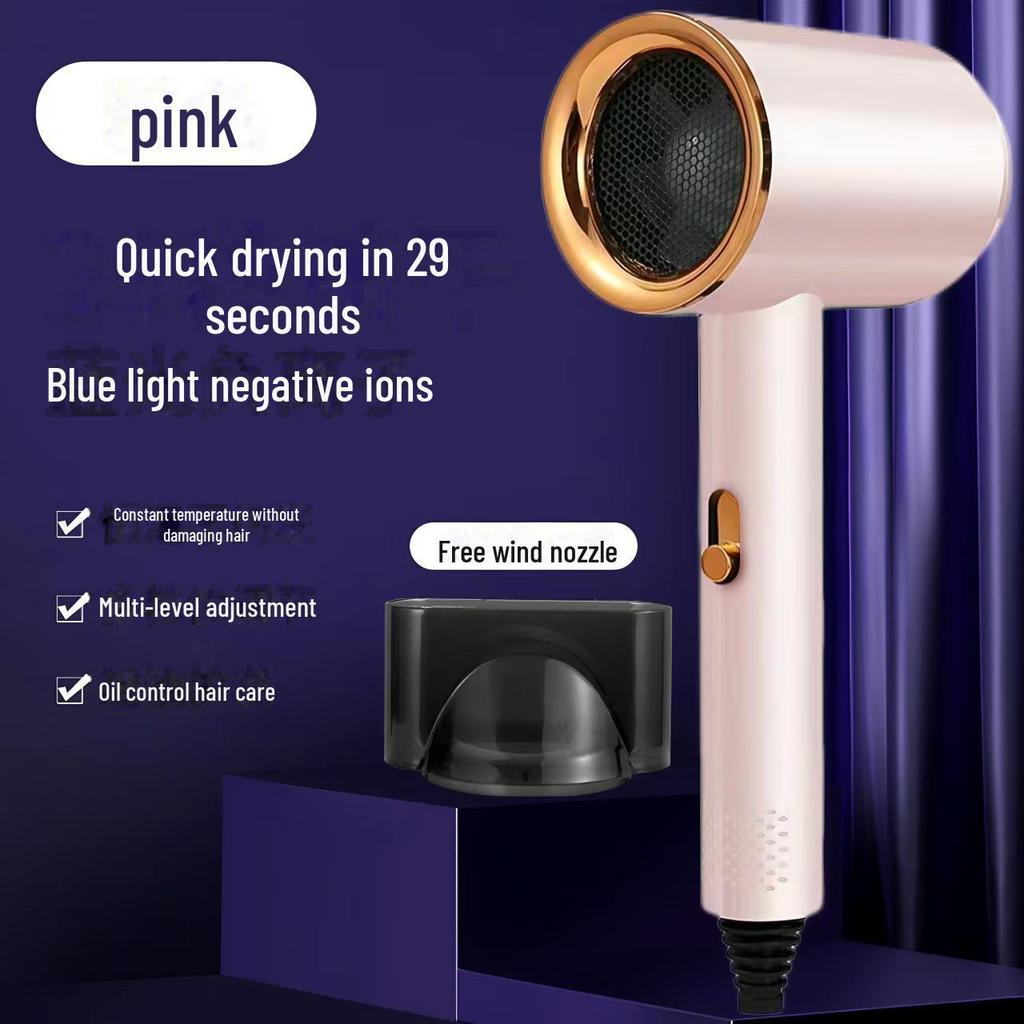 High-Power Hair Dryer with Ion Care and Hot/Cold Settings