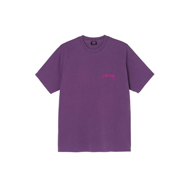 Stussy FW21 Tee Unisex 1904752