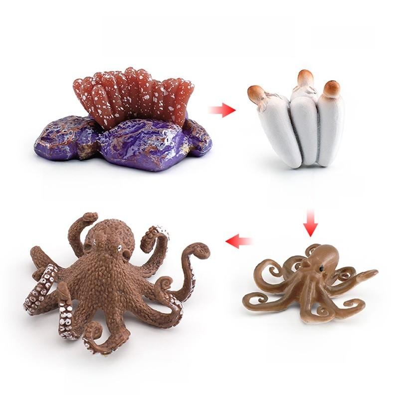 Childrens Educational Animal And Insect Growth Cycle Pvc Earthworm Octopus Model Set For Kids Learning And Activities