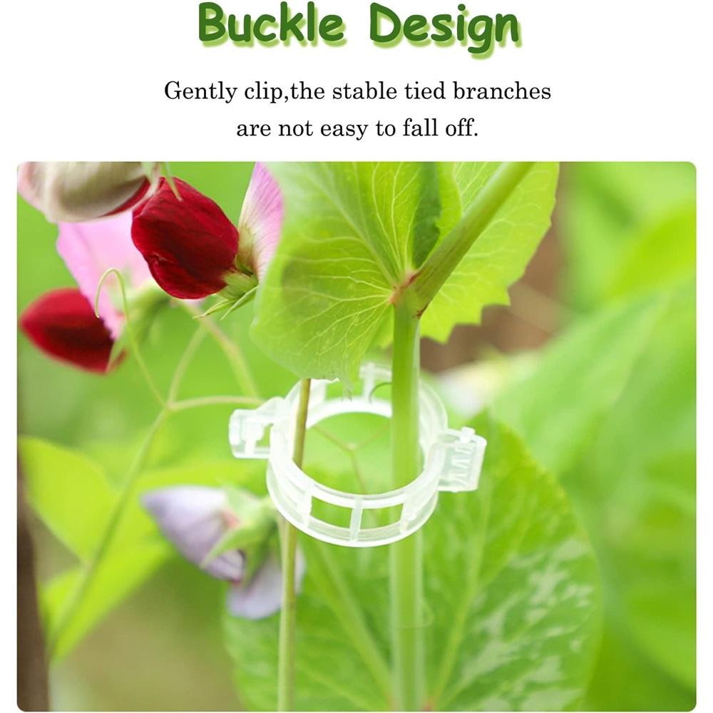 100/300-Piece Plant Support Clip Set – 3x0.9cm Garden Trellis Clips For Tomatoes, Cucumbers, Roses, Vines – Hollow Design, Reusable