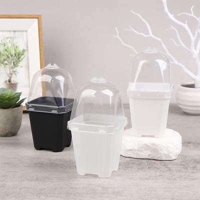5Pcs Square Small Flower Pot With Humidity Dome Seedlings Planting Pots