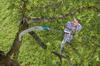 PROFILED GARDEN SAW 300 P -CS - HG-08738-20