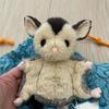 Peluche Ghiro dello zucchero con tessuto di cotone per alleviare lo stress e come regalo