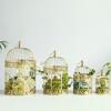 European Metal Bird Cage Decoration and Gold Wrought Iron Are Used As Props for Wedding Shooting in Hotel Living Room