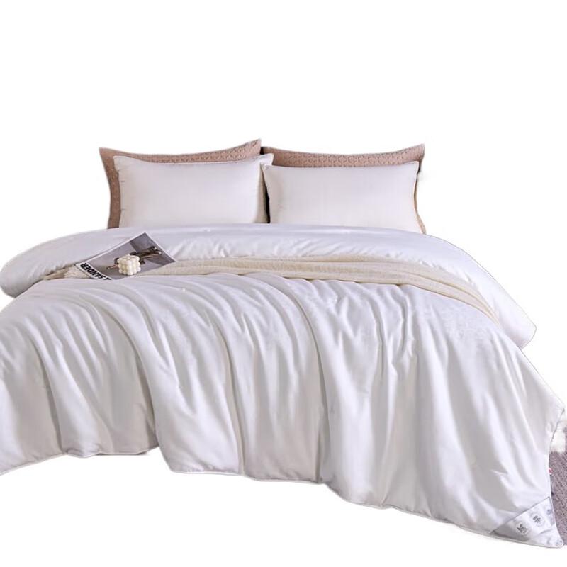 

BAIWEISI Pure Silk Quilt