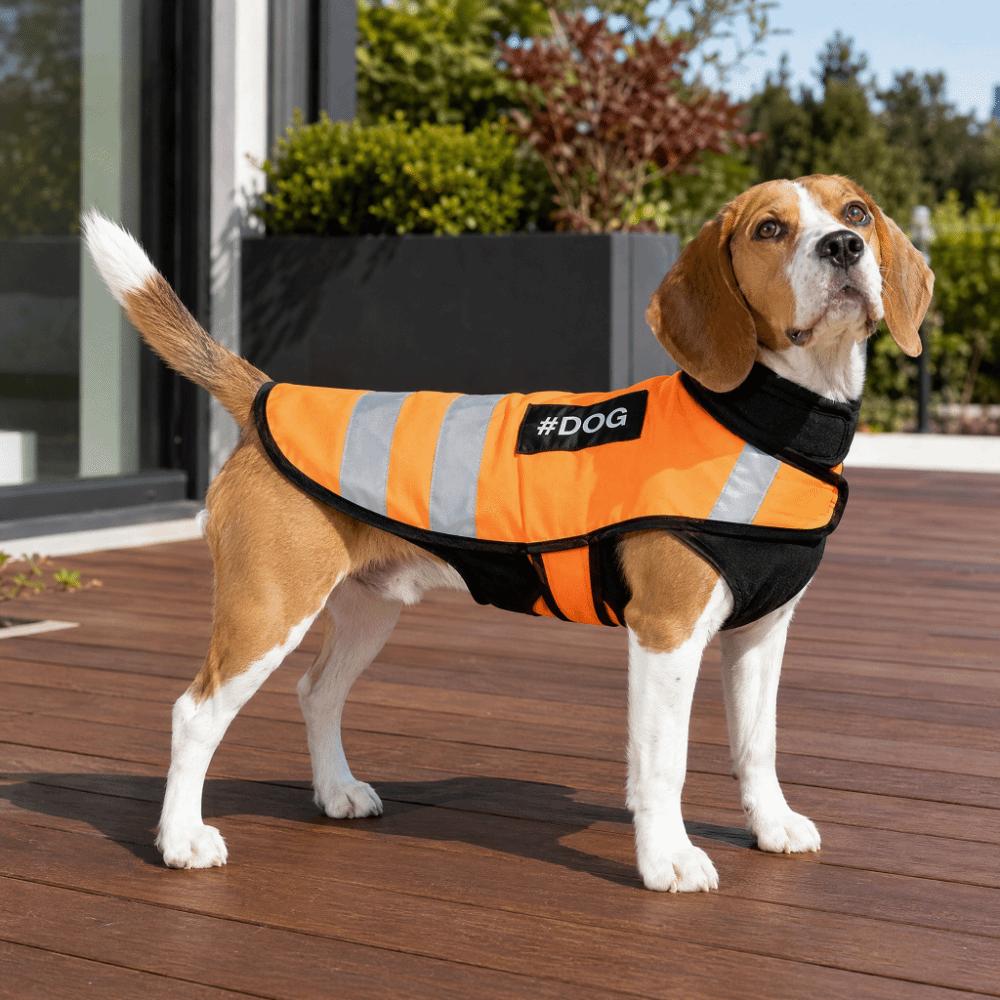 Gilet di Sicurezza Riflettente Traspirante per Cani Regolabile Abbigliamento Fluorescente per Animali da Compagnia Corsa