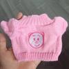 Plush Teddy Dolls & Accessories: Rag Dolls, Matching Clothes, Replacement Apparel, Sweaters, Hoodies, and More