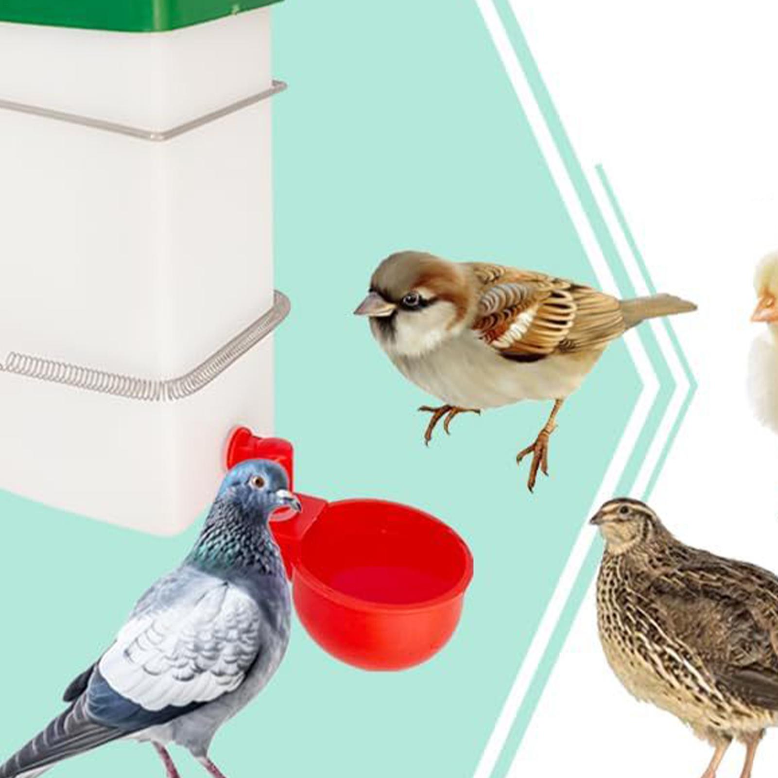 

Bird Water Dispenser Automatic Parrot Feeder Water Dispenser 1000ml Large Capacity Drinking Fountain Cage Accessories For Guinea China Mainland