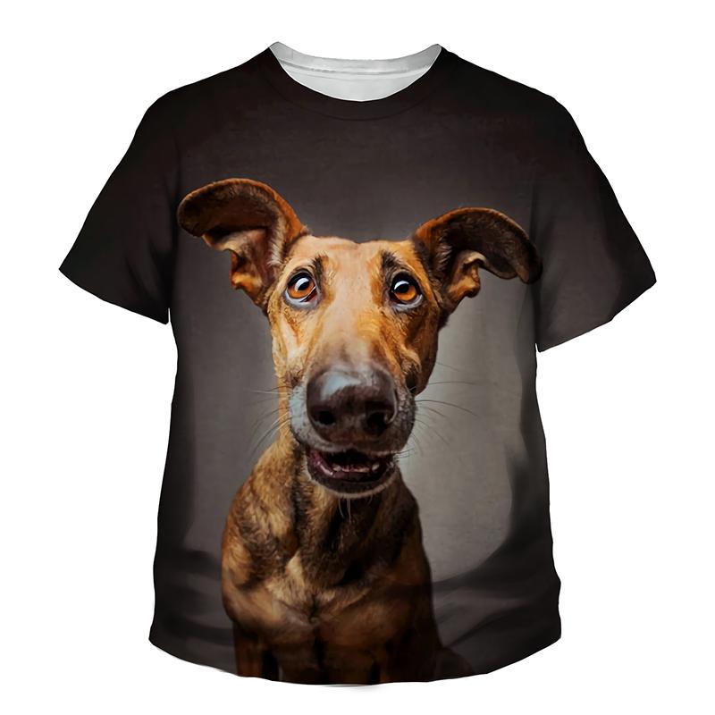 Buy Kids Summer Fashion Casual T-shirt 