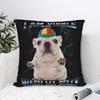 Husa de Pernă I Am Pibble Wash My Belly Pibble Meme Poliester Husa Pernă Aruncare Câine Amuzant Brainrot Husa