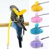 Adjustable Parrot Harness & Leash, Lightweight Bird Flying Training Lead With Angel Wings,Anti-bite Training Harness Flying Rope