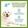 Friandise - WHIMZEES - Bâtonnet À Mâcher - Hypoallergénique - Dentaire - Petit Chien