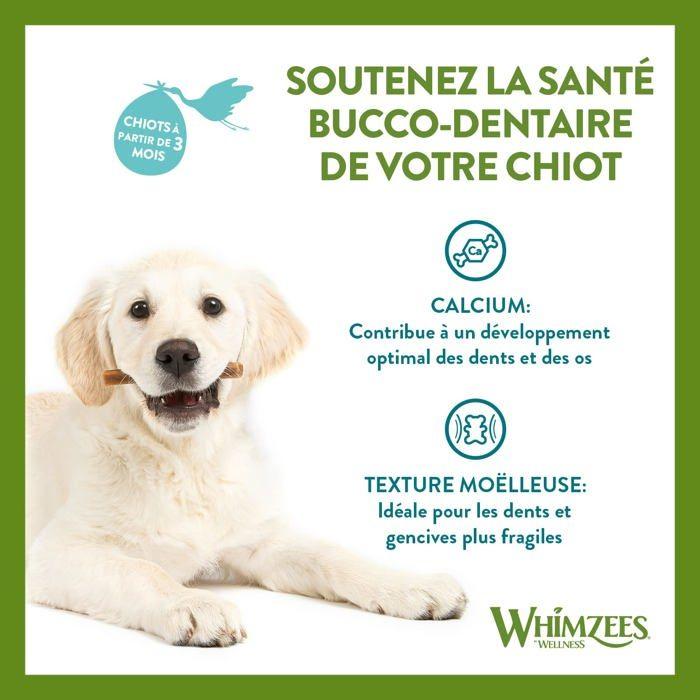 Friandise - WHIMZEES - Bâtonnet À Mâcher - Hypoallergénique - Dentaire - Petit Chien
