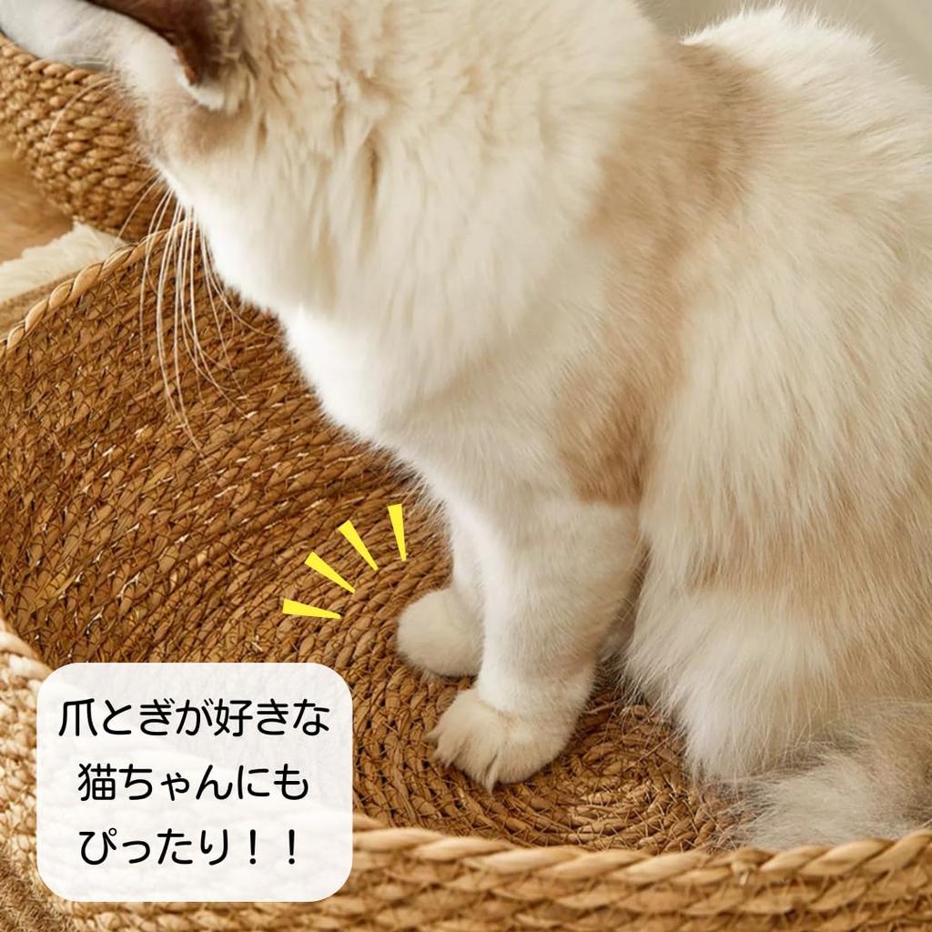 Cat Cattail with Japanese-style Bed, Grass, Wisteria, Rattan, Cushion, Natural, Handwoven, Breathable, All-Season (Blue, Small)