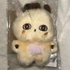 Park Ji-hoon Puppe