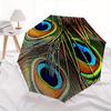 Peacock Feather Theme 8 Bone Hand Automatic Folding Umbrella, Compact and Portable Design, A Perfect Gift for Birthday, Christmas or Busines