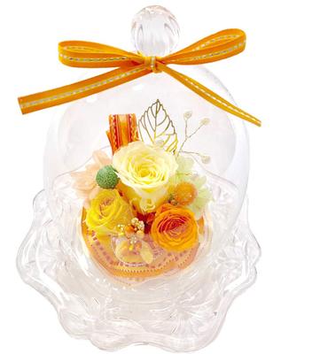 NEW Diana Welzo Original Preserved Roses In a Glass Dome, Yellow-Orange