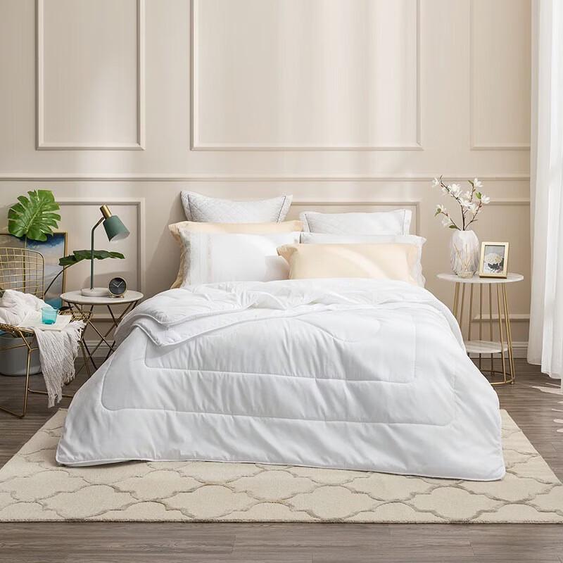 LUOLAI All-Season Duo Comforter