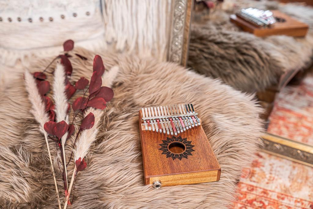 MEINL Sonic Energy Collection Electric Kalimba Soundhole Pickup Kalimba Mahogany 17 Keyboard C Major Scale PKL1708H Hammer (Exclusive