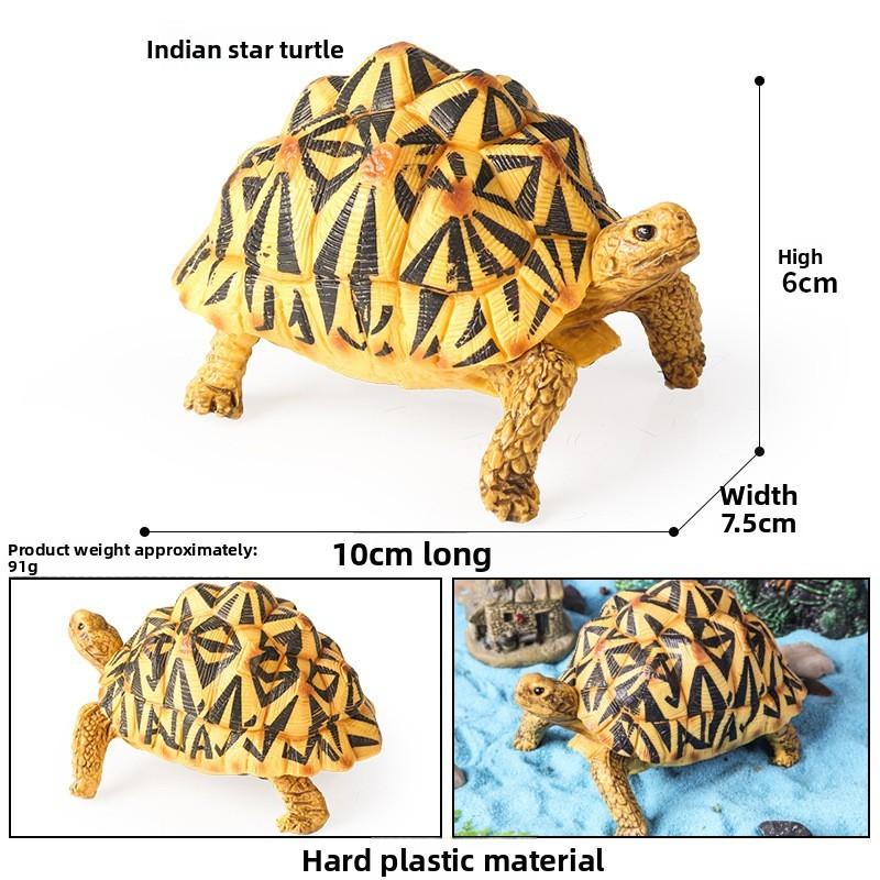 Crab Turtle Squid Salamander Hairtail Salmon Shark Marine Life Model Ornament