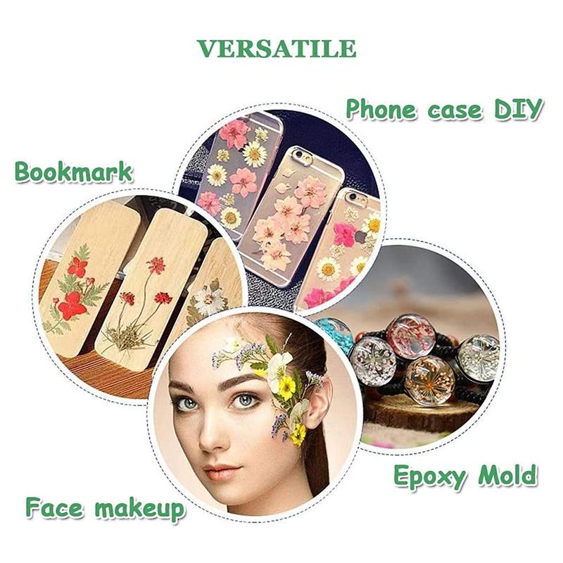 M-Modern-Real Dried Pressed Flowers Leaves Petals For DIY Candle Resin Jewelry Nail Pendant Crafts Making Art Decor