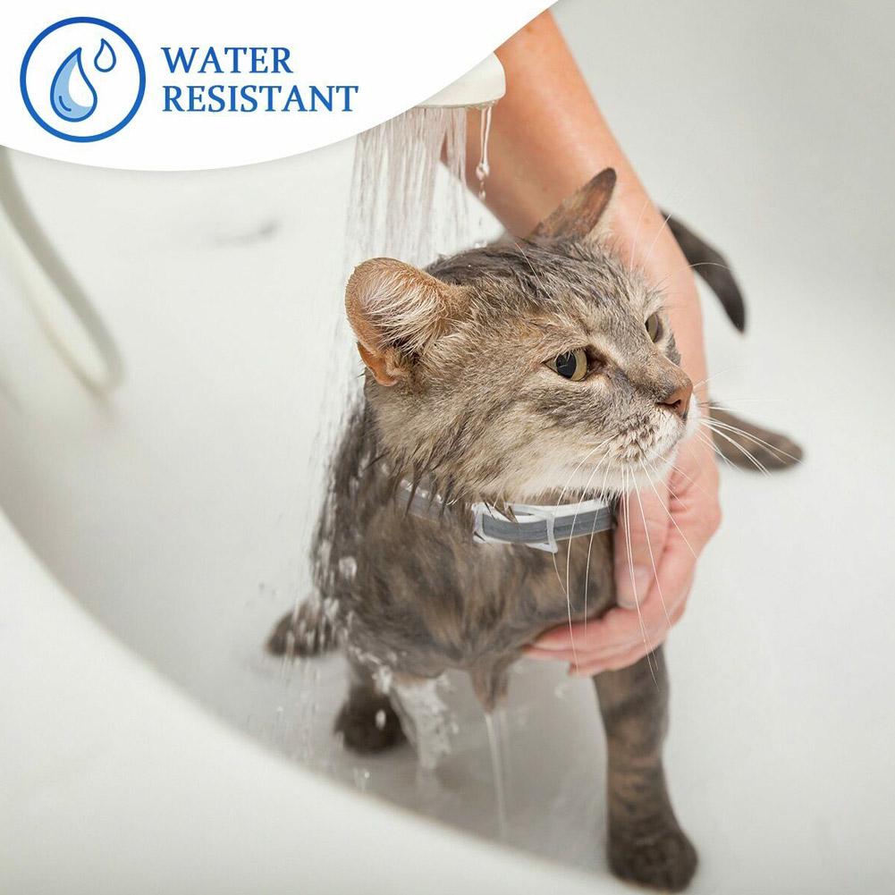Cat Waterproof Protection Adjustable Insect Collar Shield Tick Anti Dog Flea Mosquitoes Shoe bag sho