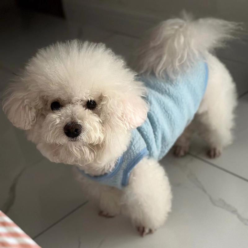 Dog Vest Plus Velvet Thick Warm Pet Vest Dog Clothes Cat Teddy Bear Small Puppy Clothes Cat Two Leg Clothes Warm Loungewear
