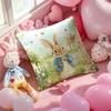 Character Cute-Peter Rabbit-Smart Pillow Case Anti-Dustmite Pillowcase Invisible Zipper Silky Short Plush Sofa Cushion Cover