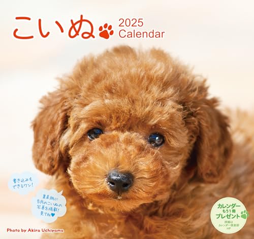 

2025 Dog Calendar (Wall Hanging) Dog ([Calendar])