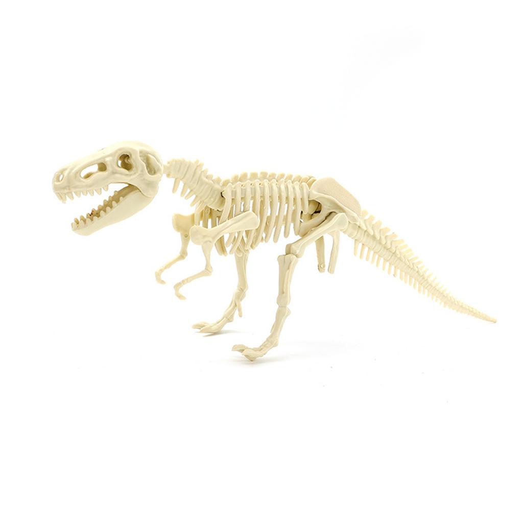 Dinosaur Skeleton DIY Toys Educational Puzzles Model Set For Kids Over 6 Years Old