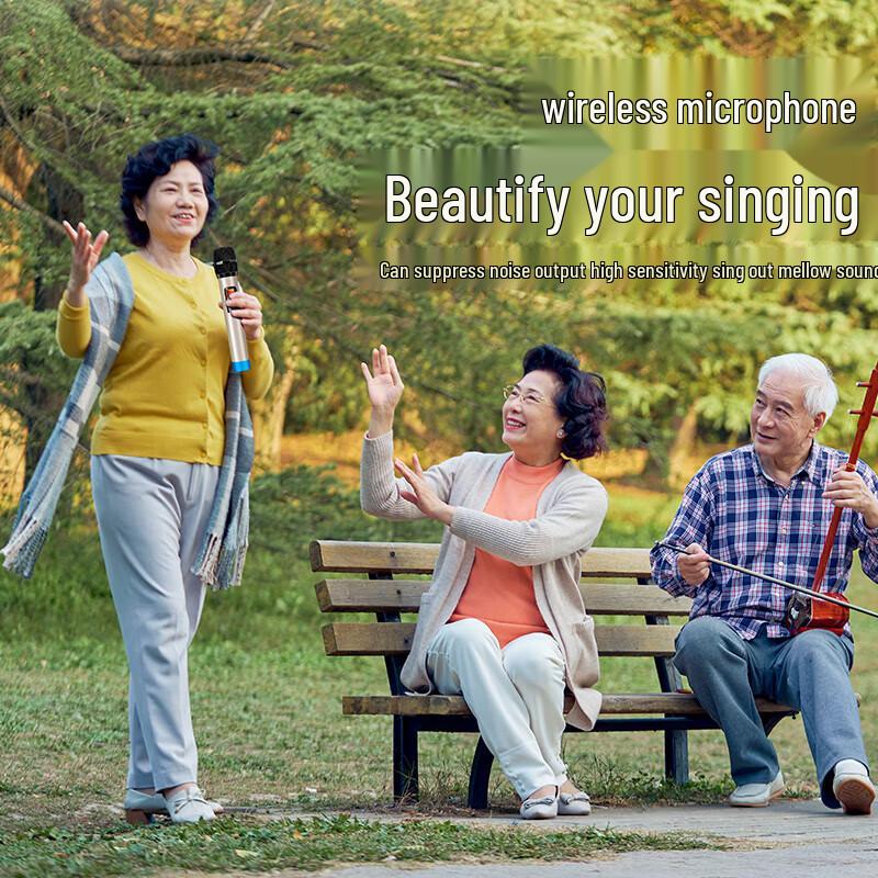 Soaiy SA-X21 8-inch Portable Karaoke Speaker